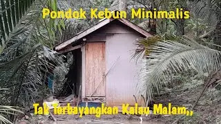 WAH PEMBERANI,,,,‼️PETANI SERING MENGINAP DI PONDOK KECIL TENGAH KEBUN, DEKAT HUTAN & SUNGAI.