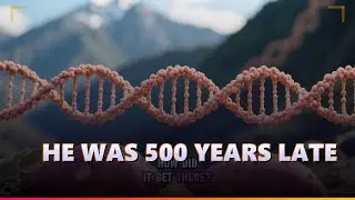 Who Really Discovered America? (It Wasn't Columbus)