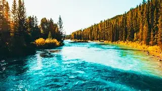 4k Carpathian Forest Turquoise Tisza River Sounds. The Confluence of two Carpathian Mountain rivers