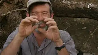 Extrait documentaire 