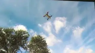 Flypig Genesis