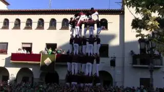 7d8 carregat