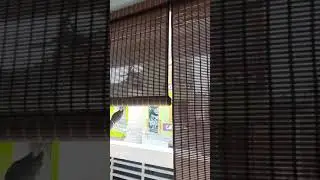 Balcony Pvc Blinds water proof material
