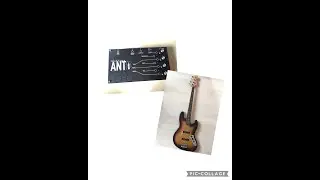 Ashdown Ant + Fender Jazz Bass