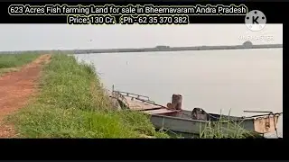 623 Acres Fish farming Land for sale in Bheemavaram Andra Pradesh Price -130Cr.  :Ph - 62 35 370 382