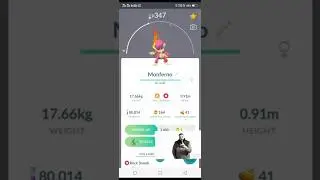 I evolve shine chimchar into shine infernape in Pokemon go/#pokemongo #viral #shorts