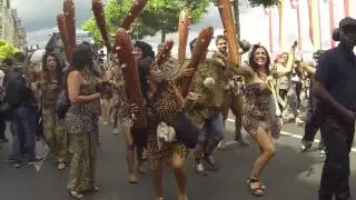 Lake Parade 2014