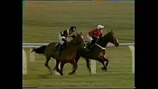 1989 Arlington Premier Chase Final Barnbrook Again Inc Replay