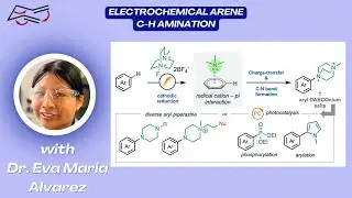 Electrochemical Arene C-H Amination with Dr. Eva Maria Alvarez