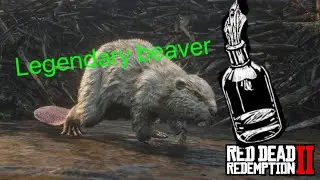 How to get the legendary beaver in Rdr2