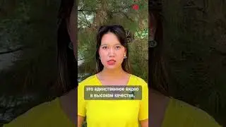 В сети появилось уникальное видео с терактов 11 сентября 2001 года