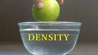 Density with everyday things