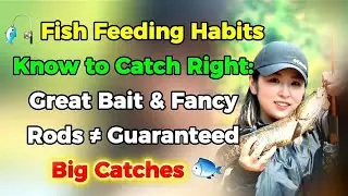 🎣 Fish Feeding Habits &ndash; Know to Catch Right: Great Bait & Fancy Rods &ne; Guaranteed Big Catches 🐟