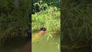gipang silip NATO ang ilalom sa kaawayan.