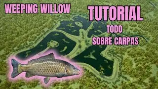 TUTORIAL WEEPING WILLOW.   ⭐️TODO SOBRE LAS CARPAS!!⭐️