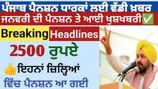 2500 ਪੈਨਸ਼ਨ #2500Pension #pension #bhagwantmann #oldagepension #punjabinews #punjabnaws #todaynews