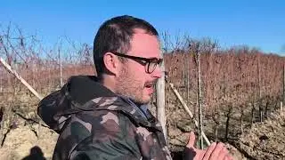 M.G.A vigneto Barolo Bargera Pezzola  M.G.A Barolo Vigneto La Volta Luca Marenco @ilmangiaweb Barolo
