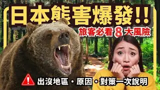 日本熊害爆發！自由行旅客必看 8 大風險｜最新出沒地區、原因、對策一次說明｜喵新聞