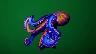 Octopus Swimming &ndash; Free Green Screen Loop Animation VFX