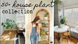 PLANT COLLECTION | house plant tour 2020 +50 plants