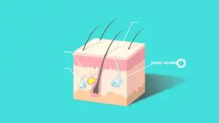Top micro clean tech kinetic motion graphic