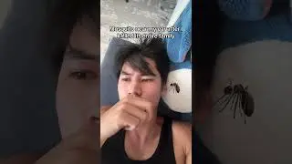 Sad mosquito 🦟