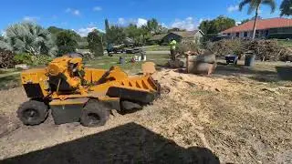 Extreme stump grinding with heavy equipment 