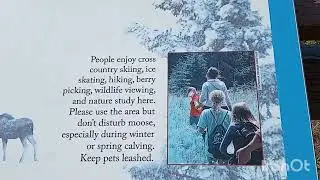 Beluga Wetlands Overlook Homer Alaska 2025