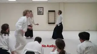 2025 Aikido of Austin 40th Anniversary Class 5 Daniel Palmer Shihan