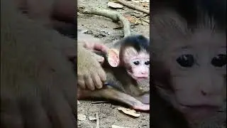 MG! Amazing & adorable baby monkey !!!