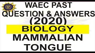 NECO 2019 BIOLOGY PAST QUESTION 49 Mammalian Tongue