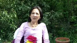 Shift Your Life with Color - Patricia Janusz Interviewed by The Shift Doctors