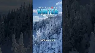 Think winter is boring? Think again🇨🇦#canadawinter #winterexpedition #winter #winterquebec #quebec