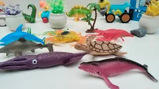 Sea Animals for kids Fun, Turtle, Fish, Unboxing satisfying ASMR 