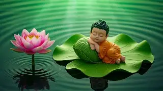 Nhạc Thiền Ngủ S&acirc;u &ndash; Giảm Stress, Ru Giấc An Nhi&ecirc;n 🌙 Sleeping Music