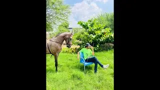 Horse Lovers ❤️&zwj;🩹🥹 A Jao Hm live Han 😉 || Talk about Tent pegging and horses and Livestock 🤩