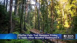 Big Sur's Pfeiffer Falls Trail Reopens Friday 13 Years After Being Destroyed By Wildfire