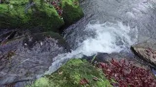 earth guides water