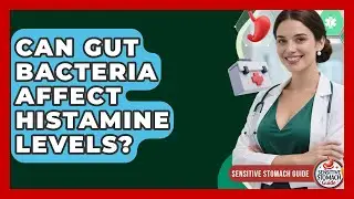 Can Gut Bacteria Affect Histamine Levels? - Sensitive Stomach Guide