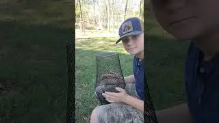 How to Make a Minnow Trap with Dollar Tree Finds Fishing Lake