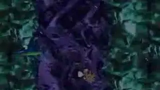 DKC 2 Arctic Abyss With Bonus Levels