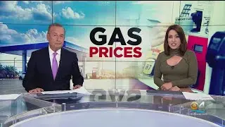 A look at Florida's gas prices