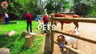 Memory Care Denver Colorado - Pets at Applewood Our House - Denver Memory Care