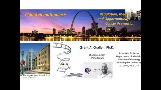 3-4-21 - Clonal Hematopoiesis: Regulation, Mechanisms, and Opportunities for Blood Cancer Prevention