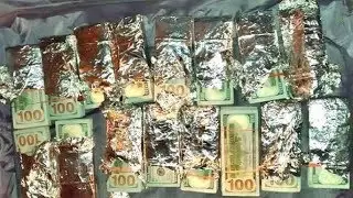 Jet Airways stewardess nabbed for smuggling US$500,000  cash