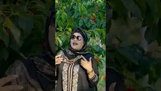 #جديد_الفنان_محسن_اكوجيل#رفقة_الفنانة_الحسنية#قريباً Mohcine_Atlas_Avec_Lhasania#