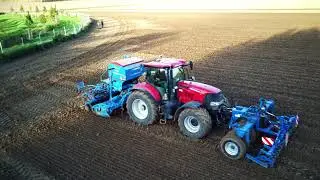 Semis colza 2021 / Case puma 240 CVX / Lemken solitaire 9 / Térrier