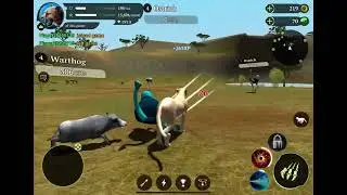 The cheetah rpg simulator 