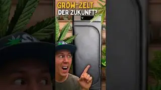 Cannabis Growbox Komplettset der Zukunft? 😱 So hat meine neue Growbox performt!