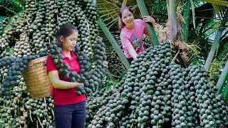 Harvesting Sugar Palm Seeds bring to market sell, The Hidden Gem of Vietnamese Forests